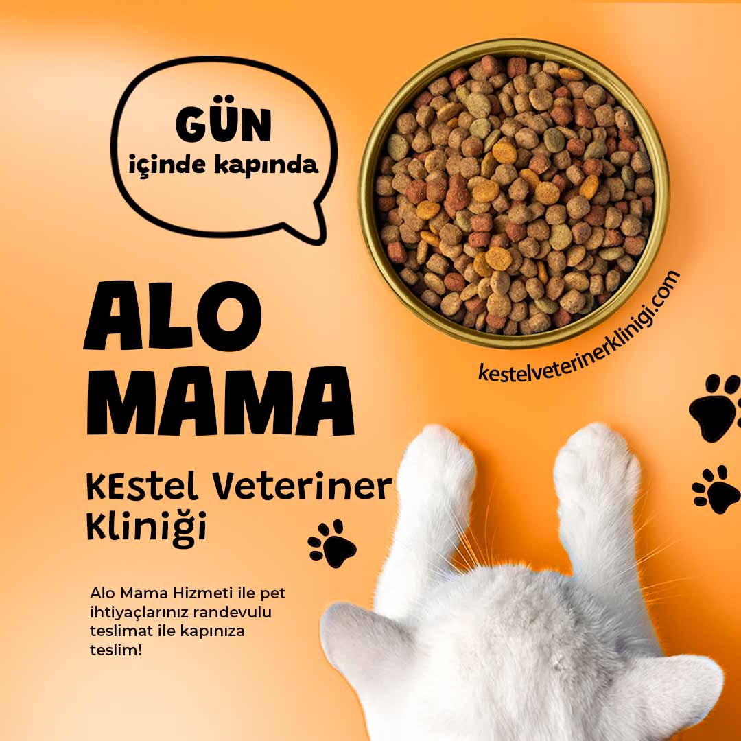 Alo mama kestel veteriner kliniği